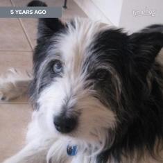 10408025_10152612508866851_9137670979606978826_n